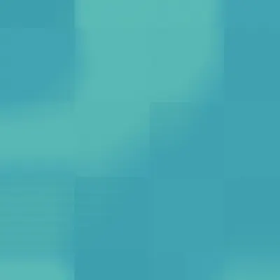 #332000248