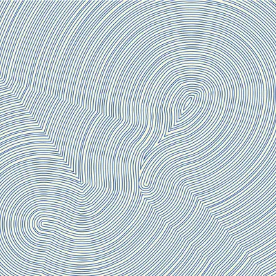 #335000162