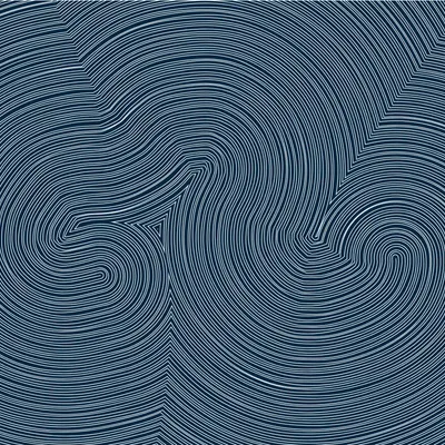 #335000205
