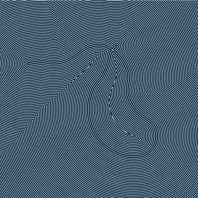 #335000216