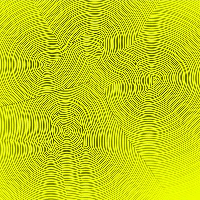 #335000239