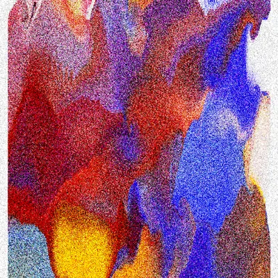 #341000205
