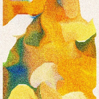 #341000211
