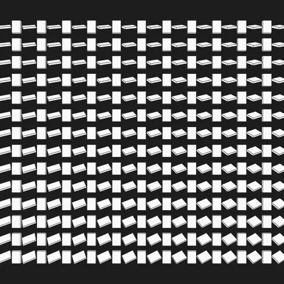 #343000097