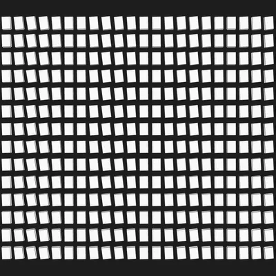 #343000113