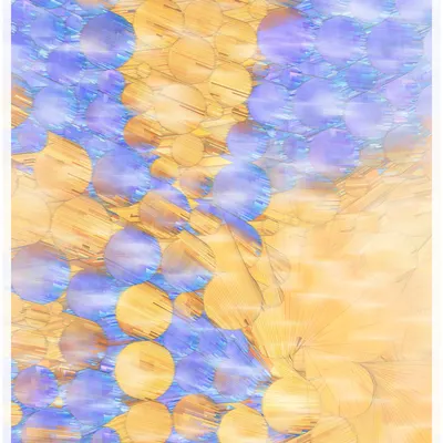 #344000067