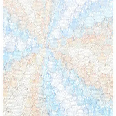 #344000113