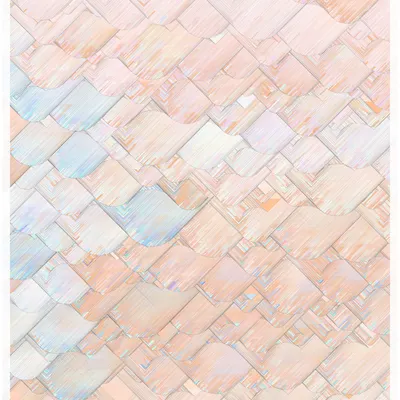 #344000117
