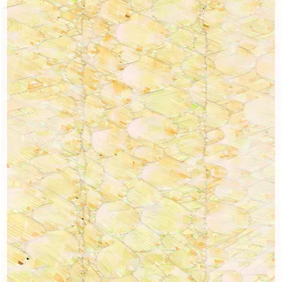 #344000191