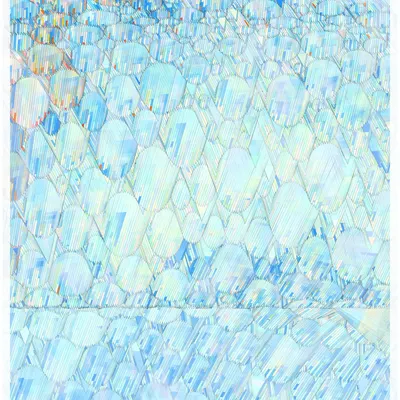 #344000195