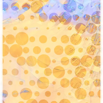 #344000244