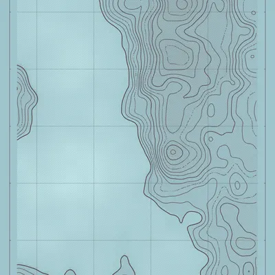 #347000019