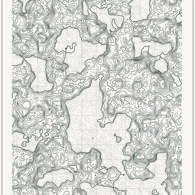 #347000067