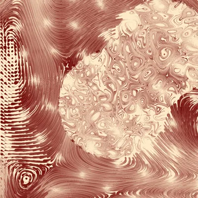 #352000026