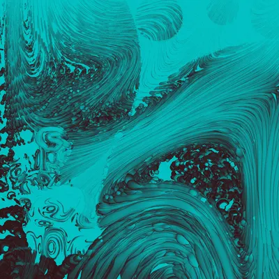 #352000113