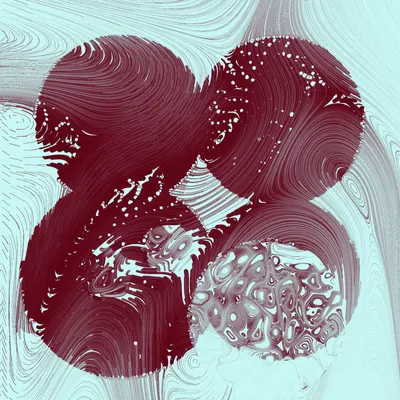 #352000361