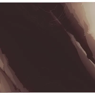 #362000238