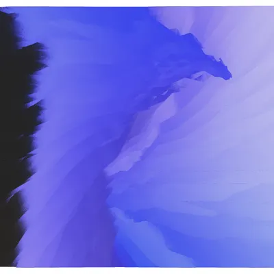 #362000321