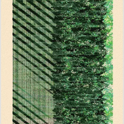 #365000001