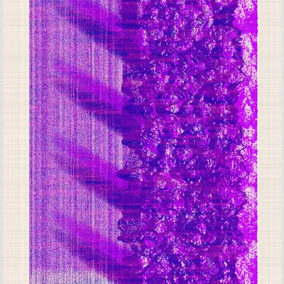 #365000078
