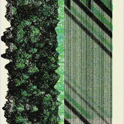 #365000130