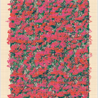 #365000156