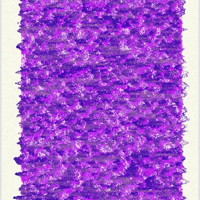 #365000184