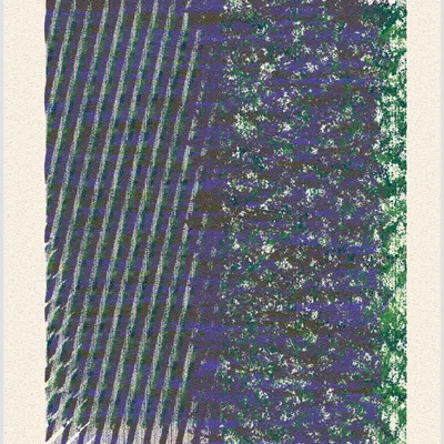 #365000281
