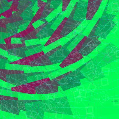 #45000069