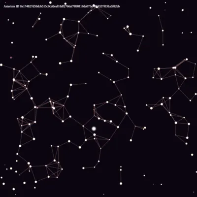 #47000019