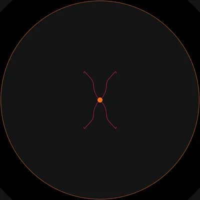 #67000045