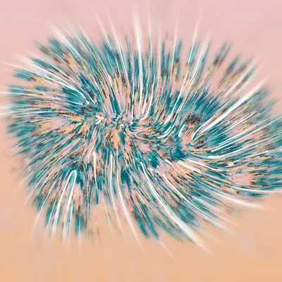 #68000118