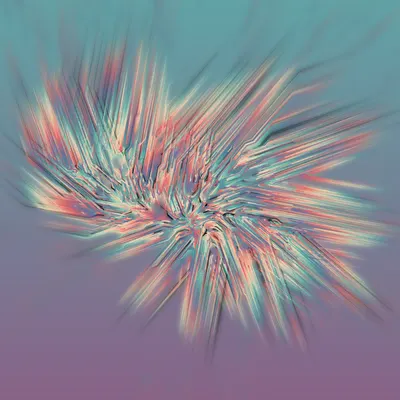 #68000202