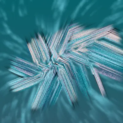 #68000213