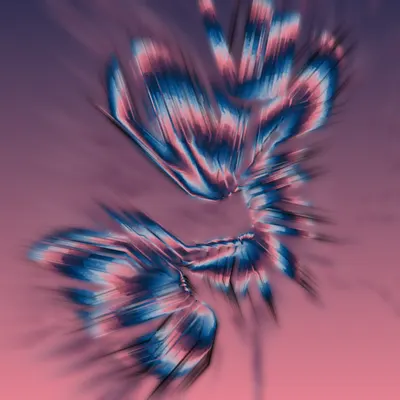 #68000260
