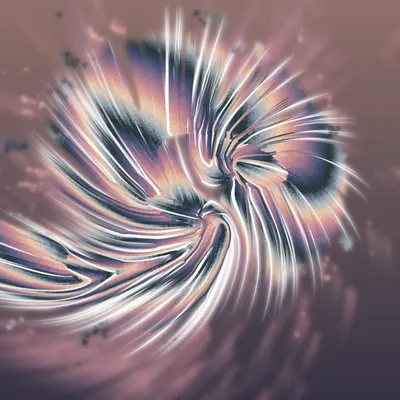 #68000264