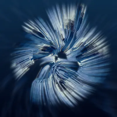 #68000268