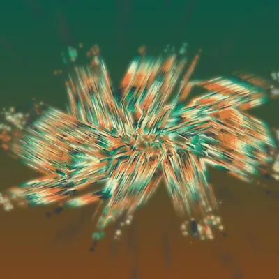 #68000269