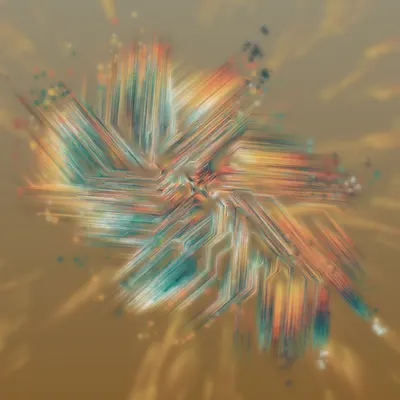#68000342