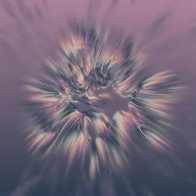 #68000347