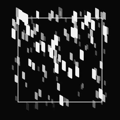 #92000219