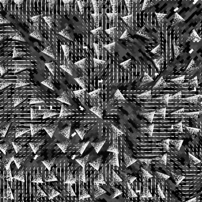 genuary2025 #2 bw edition