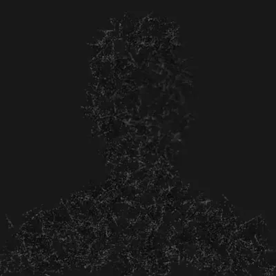 Black on black | genuary2025