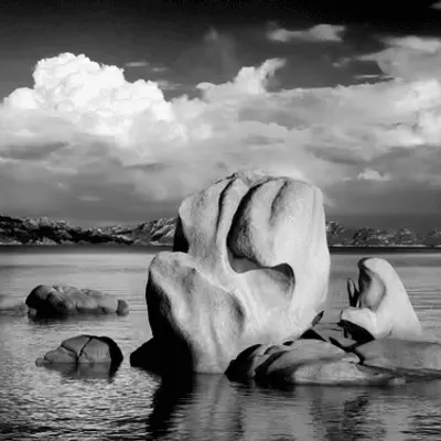 Tony Corocher - Editions: Nature #4