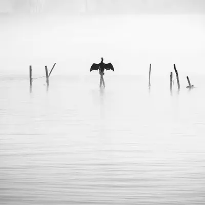 Tony Corocher - Editions: Minimalist #1