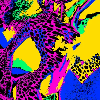 Become A Leopard #1/5