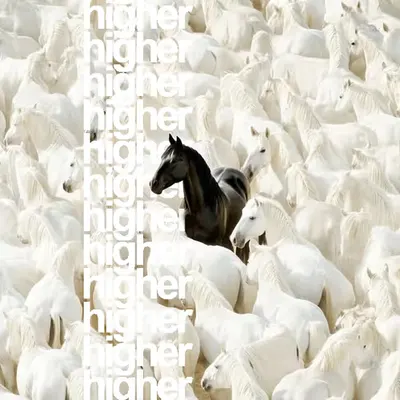 🐴🐴🐴🐴🐴🐴🐴🐴🐴🐴🐴🐴🐴🐴🐴🐴🐴