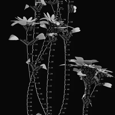 Computational nature. Variable nature.