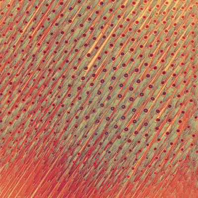 Fade into Shape #6