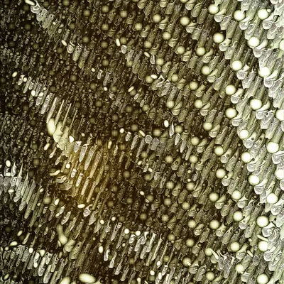 Fade into Shape #7